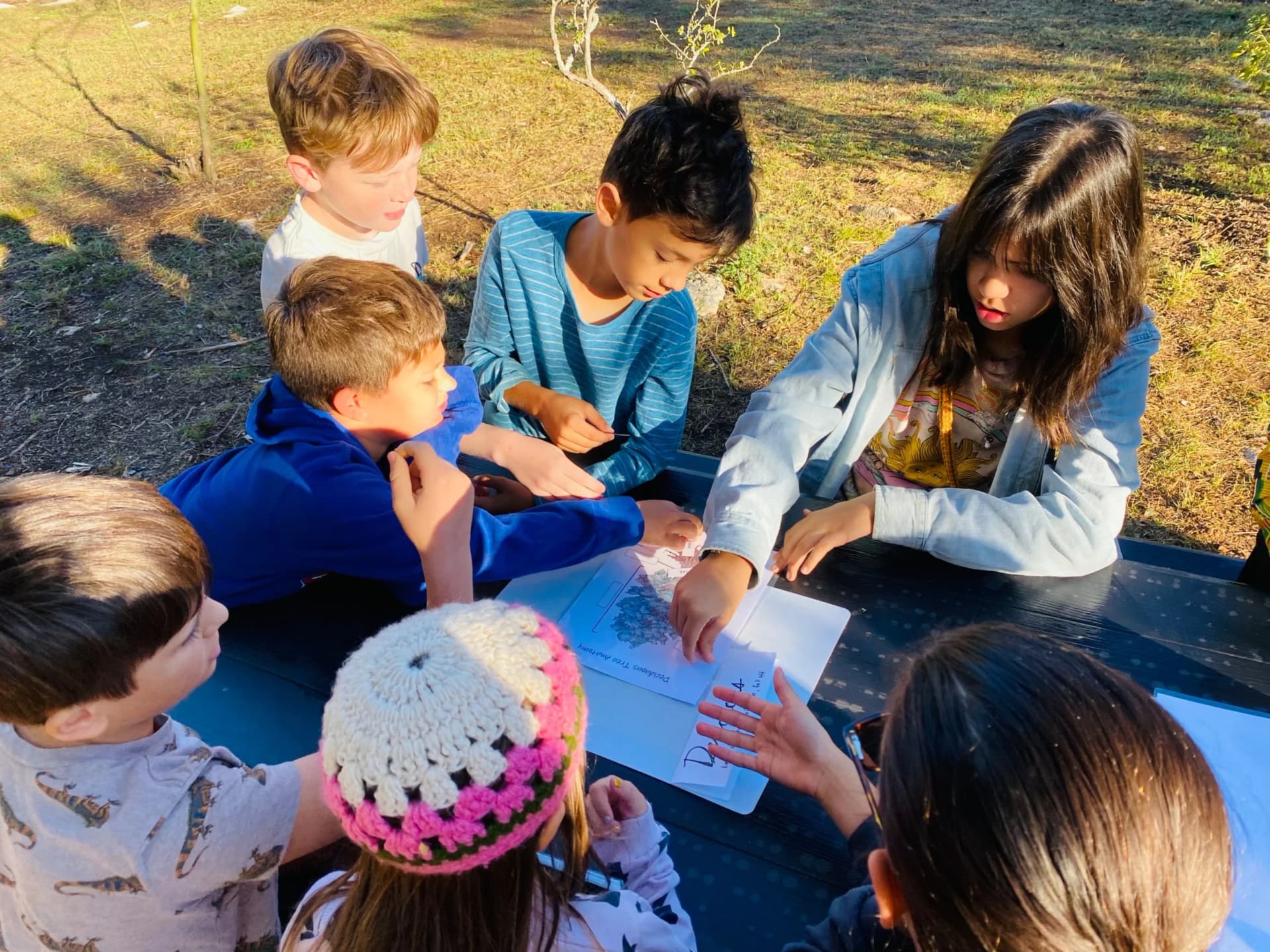 Students collaborating outdoors